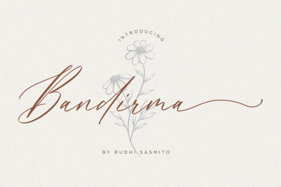 Bandirma: A Delicate Script Font for Stunning Web Design