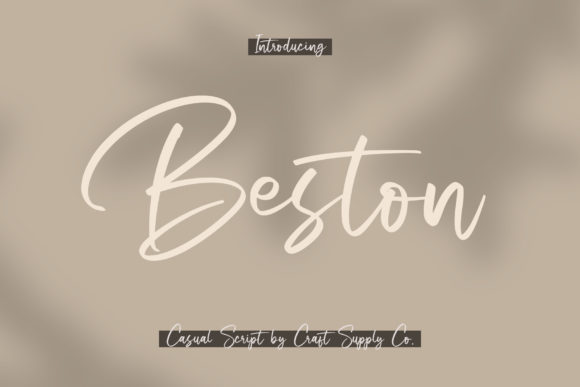 Beston: A Charming Handwritten Font for Web Design