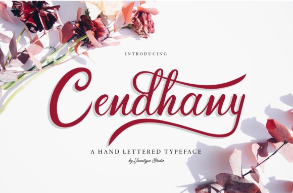 Transform Your Brand with Cendhany Font